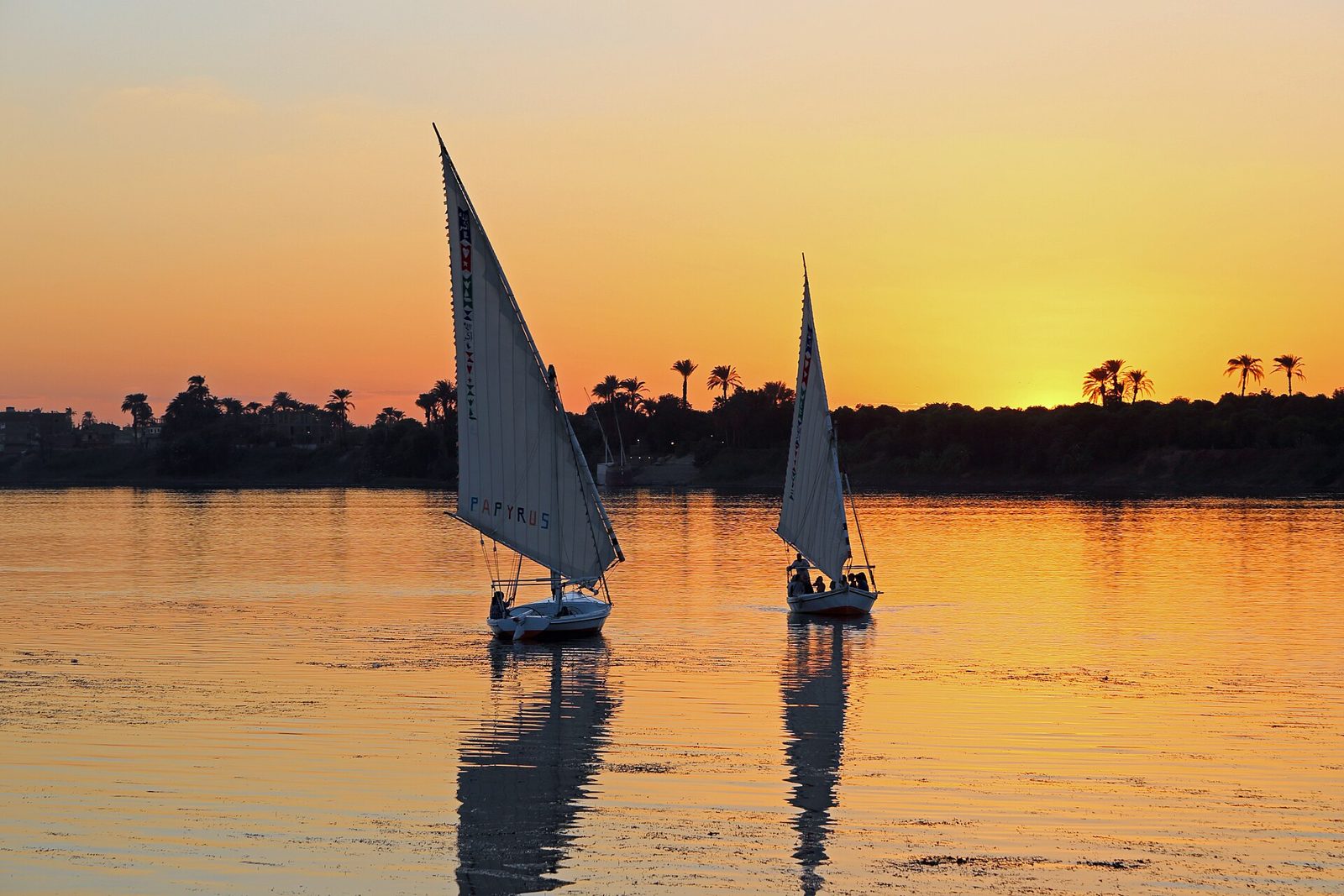 Feluccas sailing the Nile at sunset in Luxor